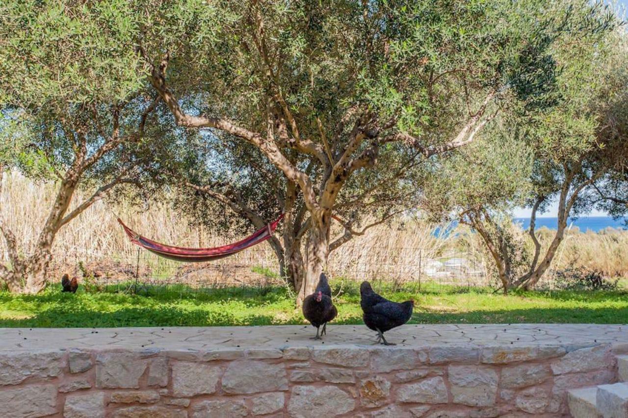 Olive Tree Farm 200M From The Beach Episkopi  Екстер'єр фото