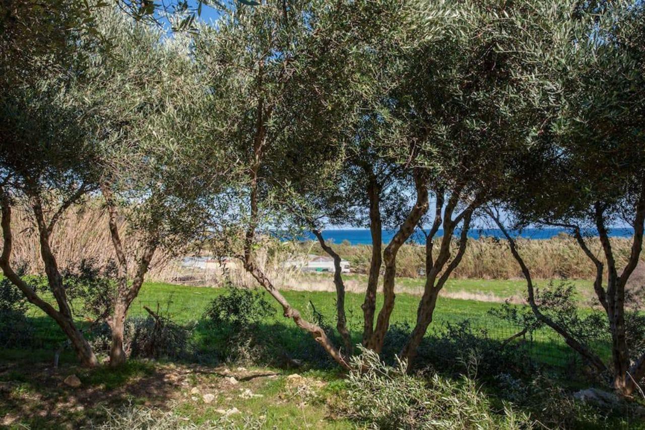 Olive Tree Farm 200M From The Beach Episkopi  Екстер'єр фото
