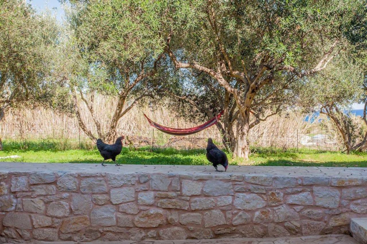 Olive Tree Farm 200M From The Beach Episkopi  Екстер'єр фото
